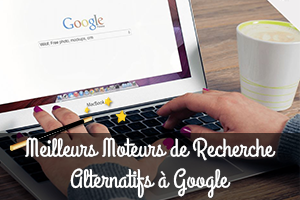 Meilleurs Moteurs de Recherche Alternatifs à Google