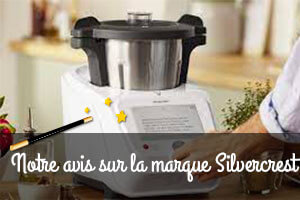 Avis mixeur plongeant Silvercrest (LIDL) 