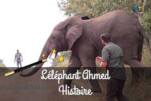 L'éléphant Ahmed histoire