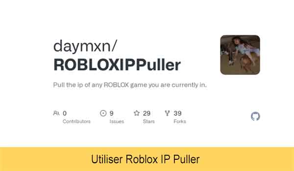 Utiliser Roblox IP Puller