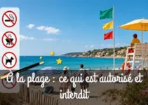 À la plage : ce qui est autorisé et interdit