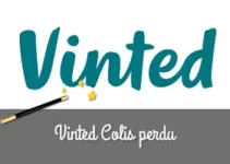 Vinted : Colis perdu, qui est responsable et comment obtenir votre remboursement ? 
