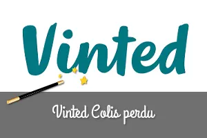 Vinted : Colis perdu, qui est responsable et comment obtenir votre remboursement ? 